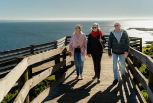 Phillip Island Wildlife & Brighton Beach Boxes Private Tour