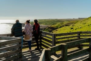 Phillip Island Wildlife & Brighton Beach Boxes Private Tour