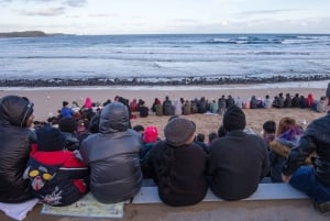 Phillip Island Wildlife & Brighton Beach Boxes Private Tour