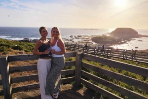 Phillip Island: Viiniä, villieläimiä ja pingviinejä gourmet-herkkujen kera