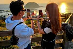 Phillip Island: Viiniä, villieläimiä ja pingviinejä gourmet-herkkujen kera