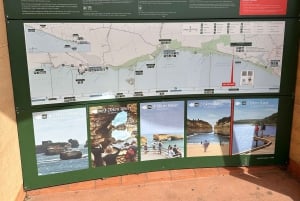 Port Campbell: Great Ocean Road & 12 Apostles Tour