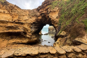 Port Campbell: Great Ocean Road & 12 Apostles Tour