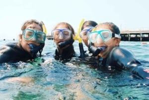 Portsea: Guided Snorkeling Tour with Weedy Sea Dragons