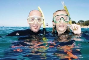 Portsea: Guided Snorkeling Tour with Weedy Sea Dragons