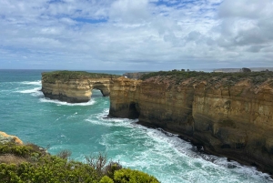 Premium Great Ocean Road Small Group Tour, 12 Apostles