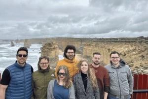 Premium Great Ocean Road Small Group Tour, 12 Apostles