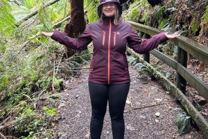 Premium Great Ocean Road Small Group Tour, 12 Apostles