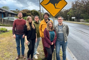 Premium Great Ocean Road Small Group Tour, 12 Apostles