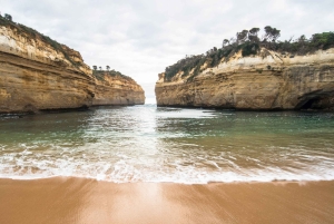 Premium Great Ocean Road Small Group Tour, 12 Apostles