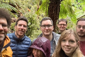 Premium Great Ocean Road Small Group Tour, 12 Apostles