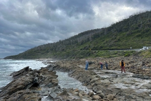 Premium Great Ocean Road Small Group Tour, 12 Apostles