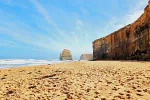 From Melbourne: Great Ocean Road Premium Small-Group Tour