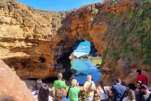 From Melbourne: Great Ocean Road Premium Small-Group Tour