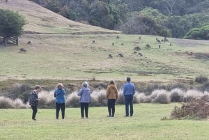 From Melbourne: Great Ocean Road Premium Small-Group Tour