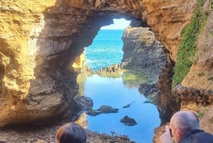 From Melbourne: Great Ocean Road Premium Small-Group Tour