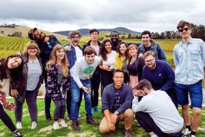 Amazing Yarra Valley Wine & Food Tour with 2-Course Lunch