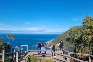 Private and Luxury Great Ocean Road and 12 Apostles Day Tour