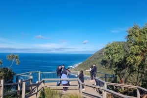 Privat och lyxig dagstur till Great Ocean Road och 12 Apostlar