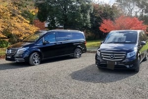 Privat och lyxig dagstur till Great Ocean Road och 12 Apostlar