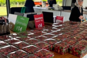 Yksityiset Ballarat Sovereign Hill -kultakaivosretket