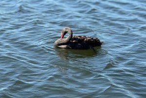 Yksityiset Ballarat Sovereign Hill -kultakaivosretket