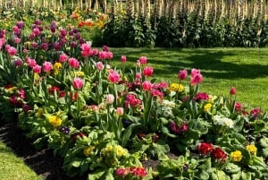 Yksityiset Ballarat Sovereign Hill -kultakaivosretket