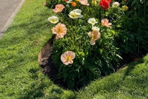 Yksityiset Ballarat Sovereign Hill -kultakaivosretket