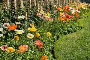 Yksityiset Ballarat Sovereign Hill -kultakaivosretket