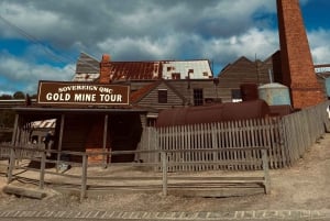 Yksityiset Ballarat Sovereign Hill -kultakaivosretket