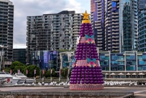 Private Christmas Walking Tour in Melbourne City Lights
