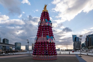 Private Christmas Walking Tour in Melbourne City Lights