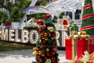 Private Christmas Walking Tour in Melbourne City Lights