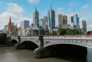 Privat dagstur i Melbourne