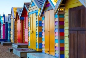 Privat dagstur i Melbourne