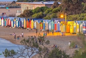 Privat dagstur i Melbourne