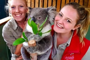 Privat dagstur i Melbourne