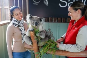 Privat dagstur i Melbourne