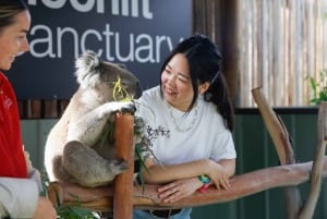 Privat dagstur i Melbourne