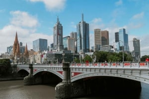 Private: Explore Melbourne CBD & Brighton Beach Boxes.