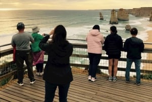 Private Group Great Ocean Road & 12 Apostles Tour