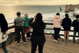 Частный групповой тур по Великой океанской дороге и 12 апостолам