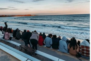 Из Мельбурна: Частная экскурсия 'Парад пингвинов на острове Филлип