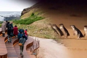 Из Мельбурна: Частная экскурсия 'Парад пингвинов на острове Филлип