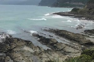 Tour privado: Great Ocean Road - Doce Apóstoles