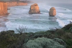 Tour privado: Great Ocean Road - Doce Apóstoles