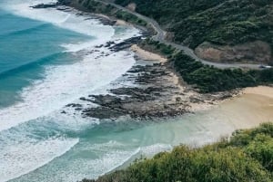 Tour privado: Great Ocean Road - Doce Apóstoles