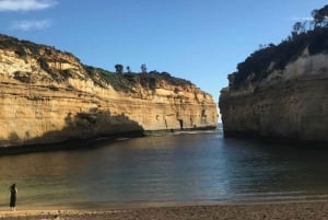 Tour privado: Great Ocean Road - Doce Apóstoles
