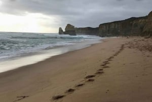 Tour privado: Great Ocean Road - Doce Apóstoles