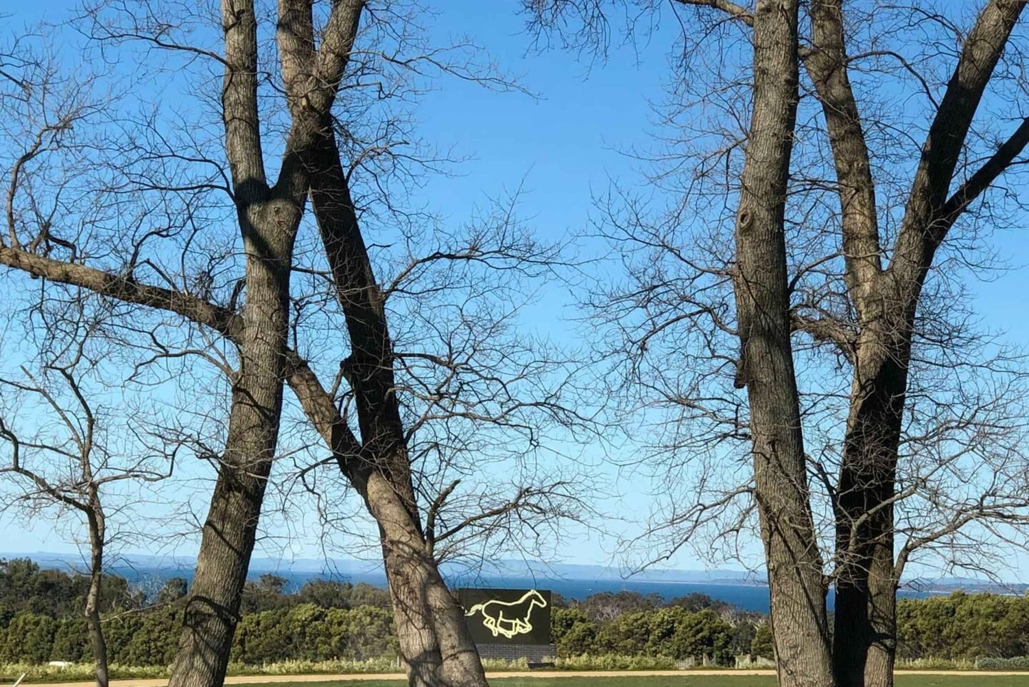 Private Tour: Wein, Bier und heiße Quellen auf der Mornington Peninsula